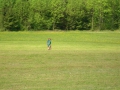 1.St.Pfila08_008